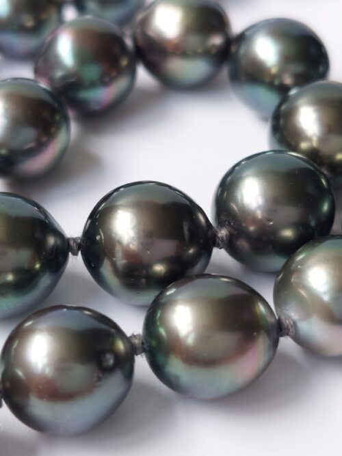 Tahitian Pearl Necklace