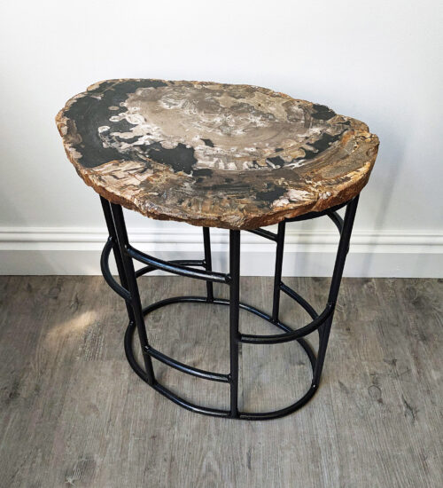 Fossil Wood Table