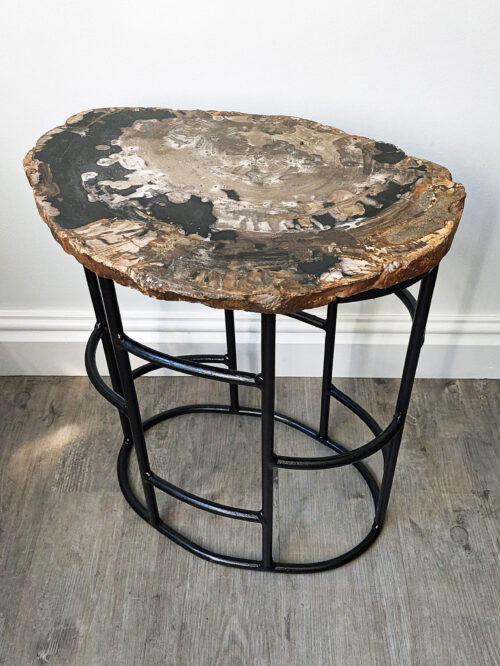 Fossil Wood Table