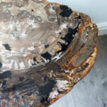 Fossil Wood Table