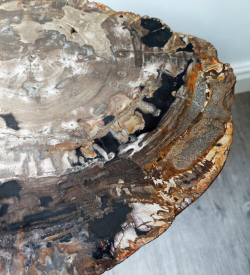Fossil Wood Table