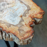 Fossil Wood Table