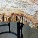 Fossil Wood Table