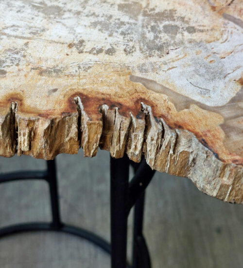 Fossil Wood Table