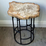 Fossil Wood Table