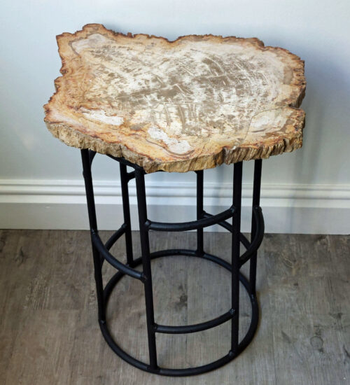 Fossil Wood Table