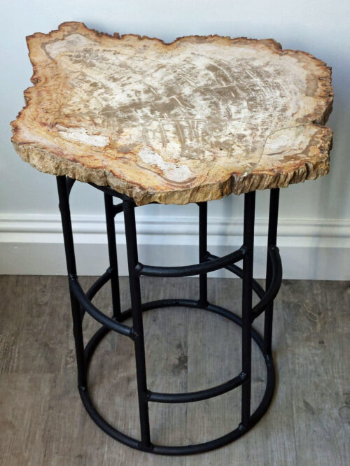 Fossil Wood Table