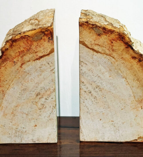 Fossil Wood book ends
