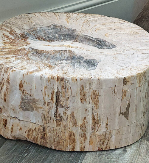 Fossil Wood plinth or table