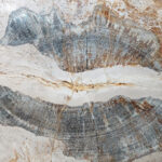Fossil Wood plinth or table