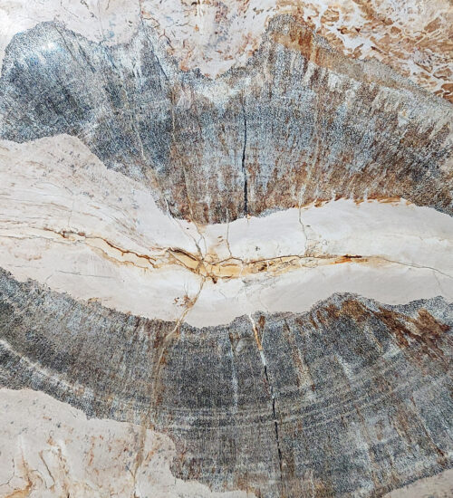 Fossil Wood plinth or table