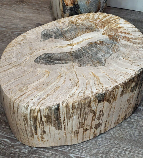 Fossil Wood plinth or table