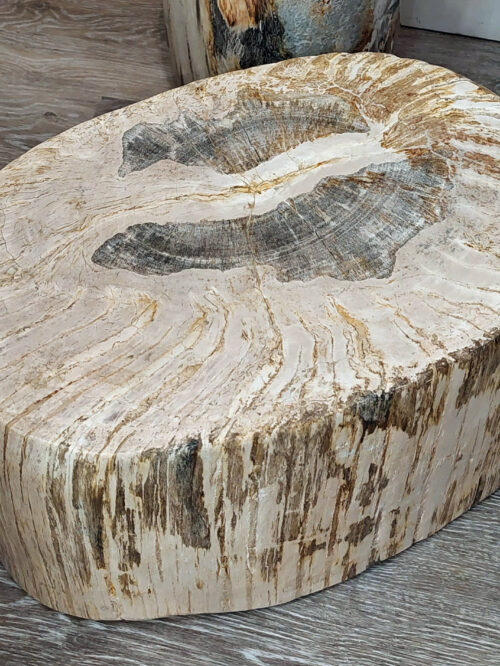 Fossil Wood plinth or table