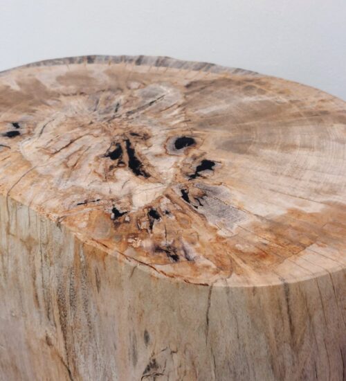 Sumatran-fossilised-wood-seat