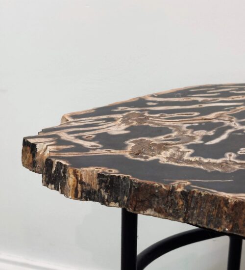 fossil-palm-table