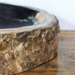 fossil-tree-bowl