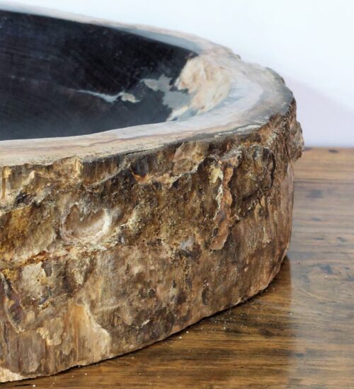 fossil-tree-bowl