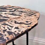 fossil-tree-slice-table