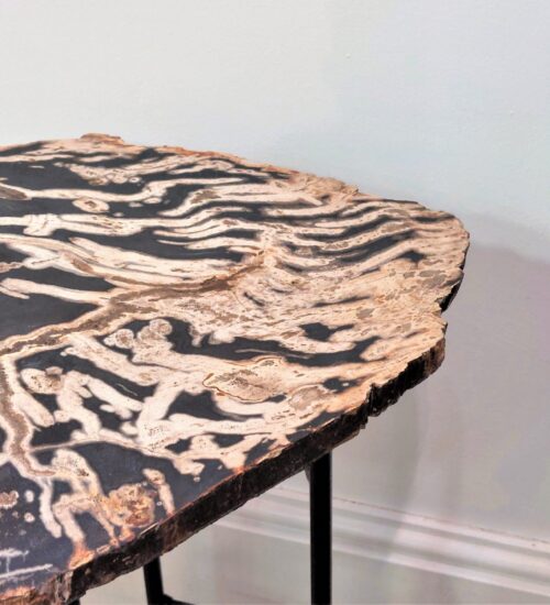 fossil-tree-slice-table