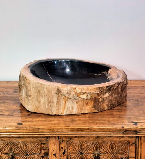 fossil-wood-bowl