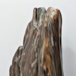 javanese-fossilised-palm-tree