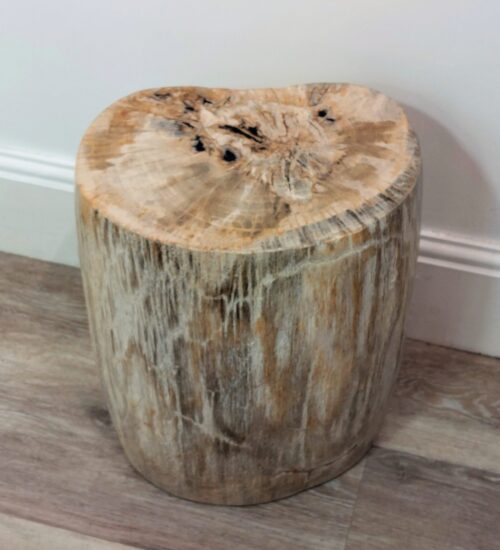 sumatra-fossilised-wood-log