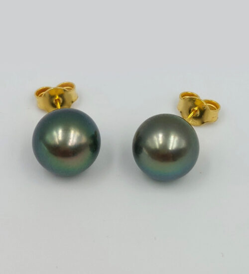 tahitian-pearl-stud-earrings