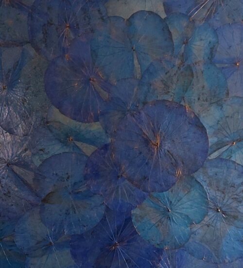 dark-blue-lotus-leaf-canvas