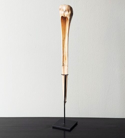 cassowary-bone-dagger-papua